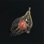 Harveseed