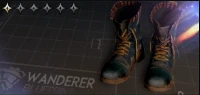 Cowboy Boots