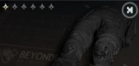 Bastille Pants