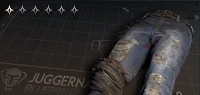 Lonewolf Pants