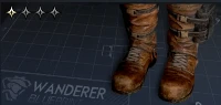 Raid Shoes