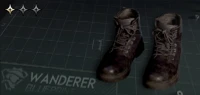 Rustic Shoes