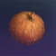 Deviated Pumpkin