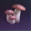 Deviated Mushroom
