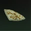 Flatbread