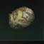 Roasted Potato