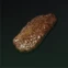 Roasted Meat
