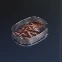 Steak Combo