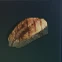 Grilled Fish