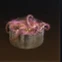 Securement Soup