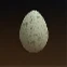 Nalcott Easter Egg