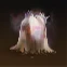 Spectral Cloak