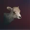 Lamb