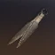 Gold Knife