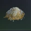 Mixed Explosives