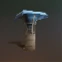 Portable Rainwater Collector