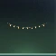 Formula : String Lights