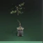 Formula : Pot Plant I.