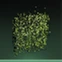 Formula : Wall Vines I.