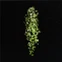 Formula : Wall Vines III.