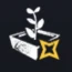 Planter Box: Greenhouse Planting