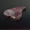 Bear Meat