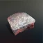 Crocodile Meat