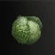 Cabbage