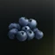 Blueberry